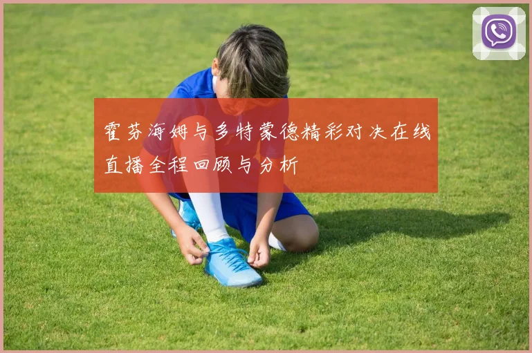 霍芬海姆与多特蒙德精彩对决在线直播全程回顾与分析