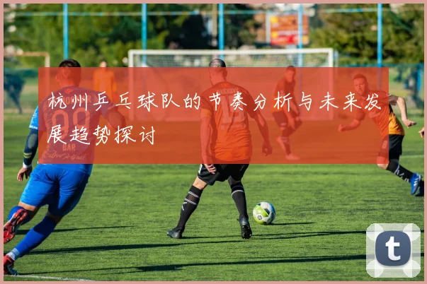 杭州乒乓球队的节奏分析与未来发展趋势探讨